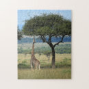 Suche nach kenia puzzle Safari