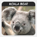 Suche nach niedlicher koala aufkleber Jede person