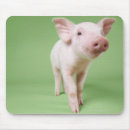 Suche nach ferkel mousepads Tier