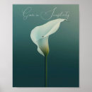 Suche nach calla poster Blume