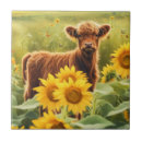 Suche nach kälber fliesen Rinder