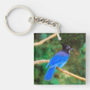 Suche nach jay schlüsselanhänger Vogel
