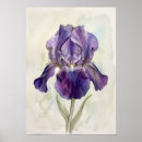 Suche nach iris aquarell poster Botanisch