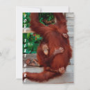 Suche nach borneo karten Orang utan