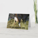 Suche nach guter chef karten Fotografie