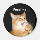 Suche nach katzenmagneten magnete Miezekatze
