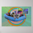 Suche nach rainbow bridge poster Hunde