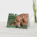 Suche nach wachsen sie auf karten Lustig