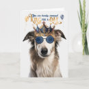 Suche nach borzoi karten Haustiere
