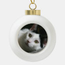 Suche nach inländisch ornamente Katze