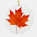 Suche nach ein ahornblatt ornamente Herbst