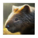 Suche nach junges tier fliesen Tierwelt