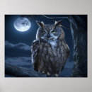Suche nach die eule poster Vogelvogel