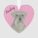 Suche nach schnauzer ornamente Personalisiert