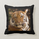 Suche nach bengalischer tiger kissen Katze