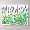 Suche nach lavendel blumen poster Jede person