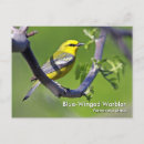 Suche nach winged postkarten Tierwelt