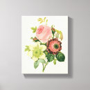 Suche nach vintage botanik leinwandbilder Botanisch