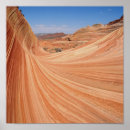 Suche nach coyote poster Wüste