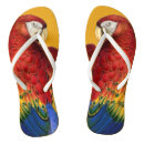 Suche nach bunte vogel kleidung Jede person