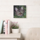 Suche nach bilder der katzen wanduhren Für alle