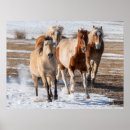 Suche nach pferde schnee poster Herde
