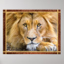 Suche nach faces poster Braun