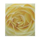 Suche nach gelbe rose notizblock Blüte