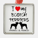 Suche nach boston ornamente Für haustiere