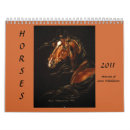 Suche nach fohlen kalender Stallion