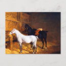 Suche nach graues pferd postkarten Vintag