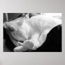 Suche nach ärzte poster Zuhause