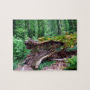 Suche nach höhle puzzle Natur