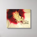 Suche nach hibiskus blume leinwandbilder Botanisch