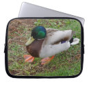 Suche nach köpfe laptop schutzhüllen Grün
