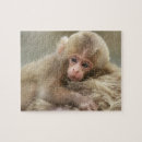 Suche nach säugetiere puzzle Süß