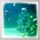 Suche nach manta poster Ray