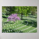 Suche nach friedhofs poster Bunt