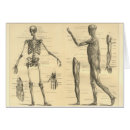 Suche nach bizeps postkarten Knochen