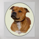 Suche nach bullterrier poster Hund