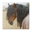 Suche nach pferdekopf fliesen Tiere