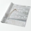 Suche nach federn geschenkpapier Weiß