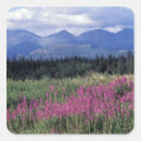 Suche nach yukon aufkleber Umwelt