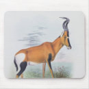 Suche nach antilope mousepads Wild