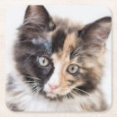 Suche nach babytier untersetzer 2015