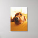 Suche nach stuhl leinwandbilder Möbel