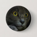 Suche nach katzenartig buttons Miezekatze