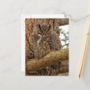 Suche nach uhu postkarten Greifvogel