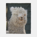 Suche nach lama decken Jede person