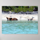 Suche nach schwimmen poster Tiere